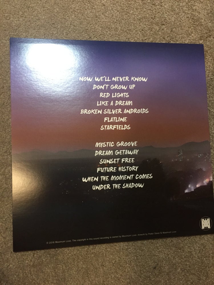Under the Shadow (12" Vinyl)